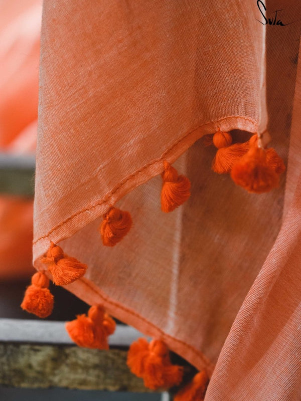 Dried peels of orange - suta.in