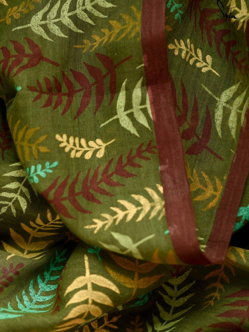 Mysterious Ferns Of Newzealand - suta.in